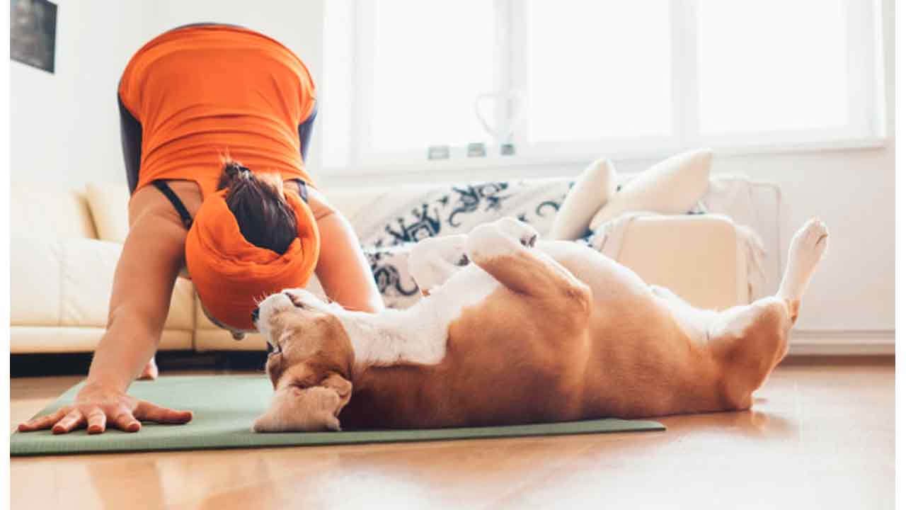 Il tuo cane ama lo yoga? Prova DOGA!