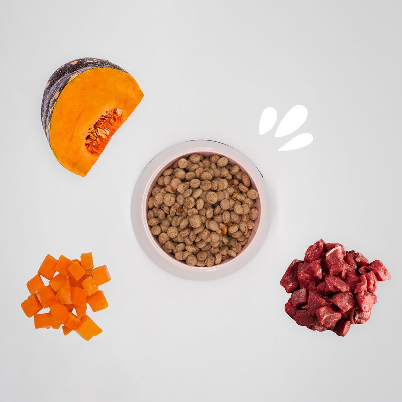 Crocchette taglia media Maiale, Curcuma e scaglie di Zucca