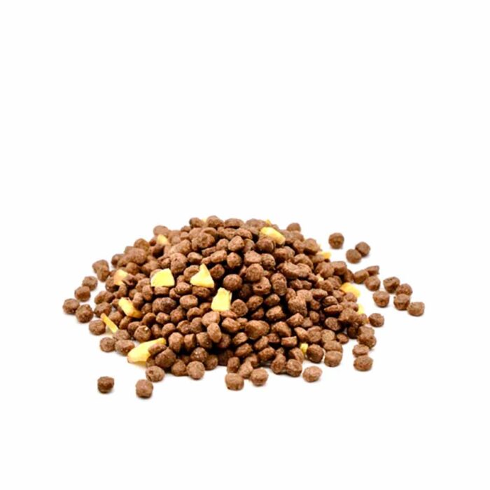 Anatra, Curcuma e Banana Chips Mini