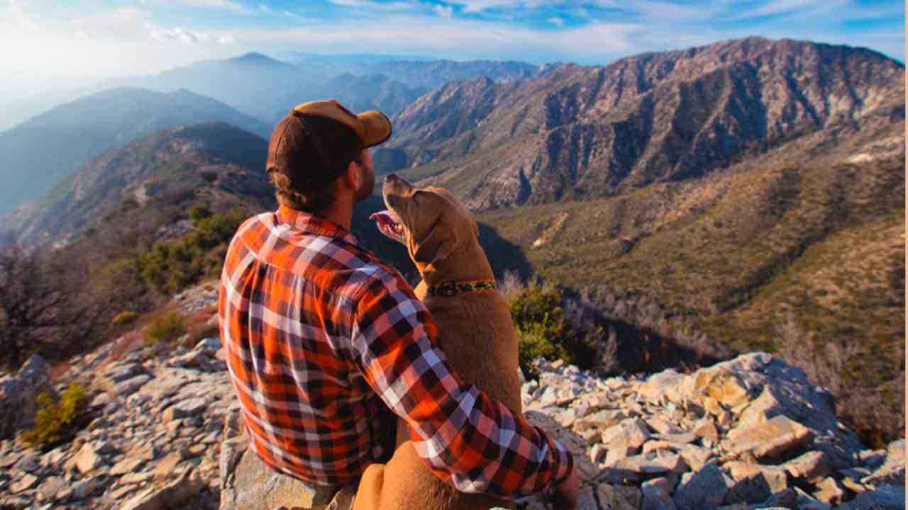 VACANZE PET FRIENDLY