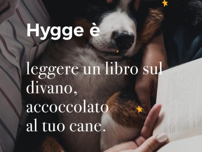 Hygge Dog