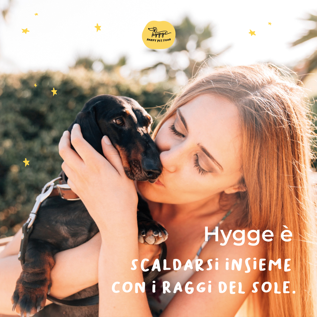 Hygge Dog