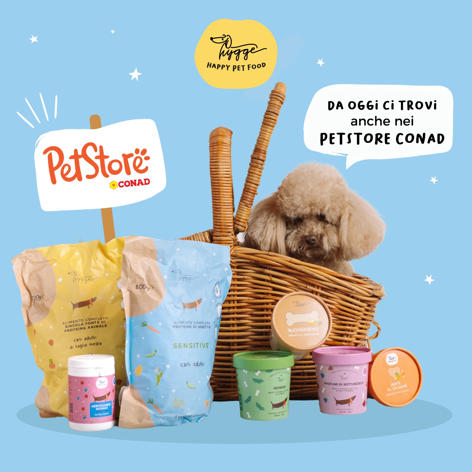 Hygge Dog