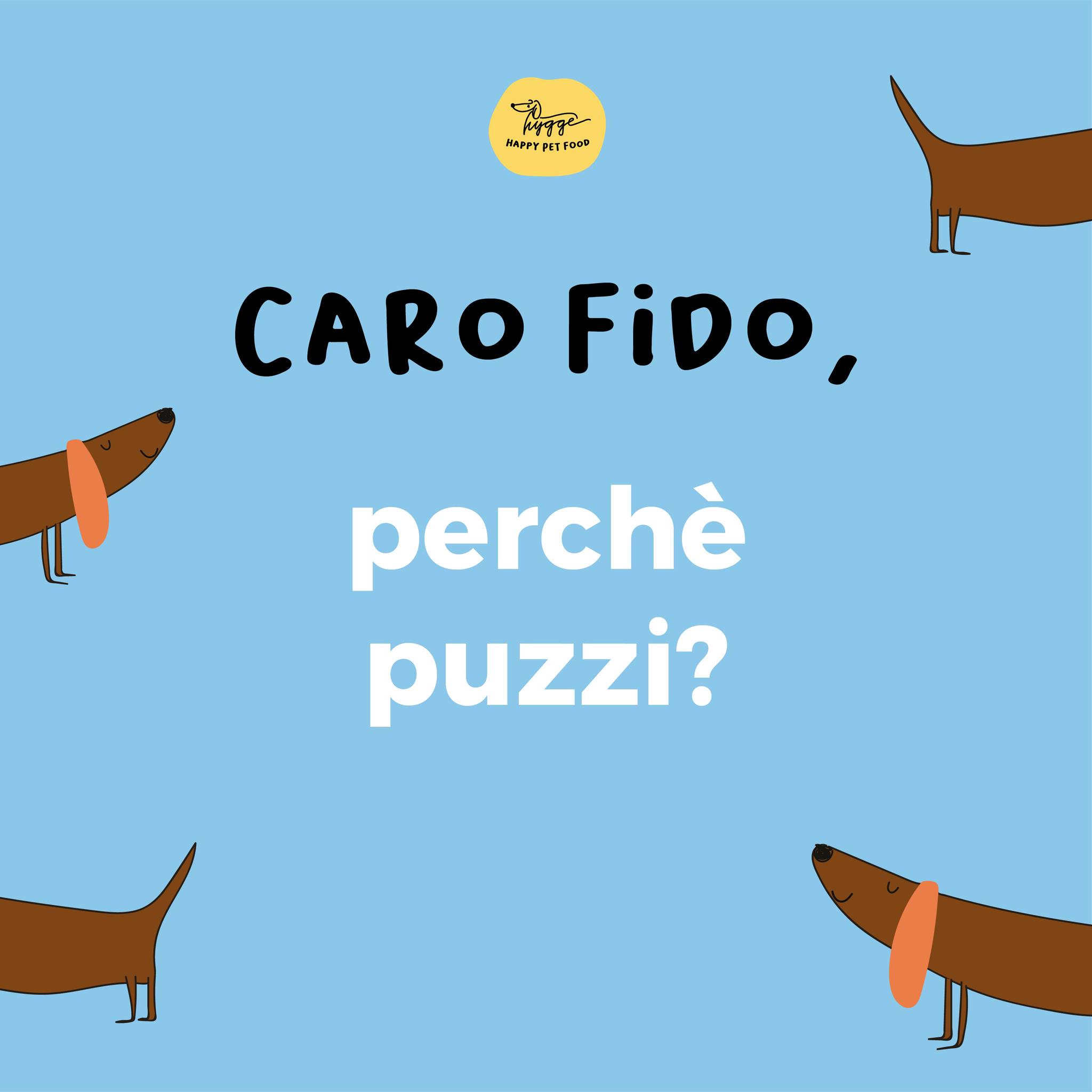 Hygge Dog - La ricetta della felicita'