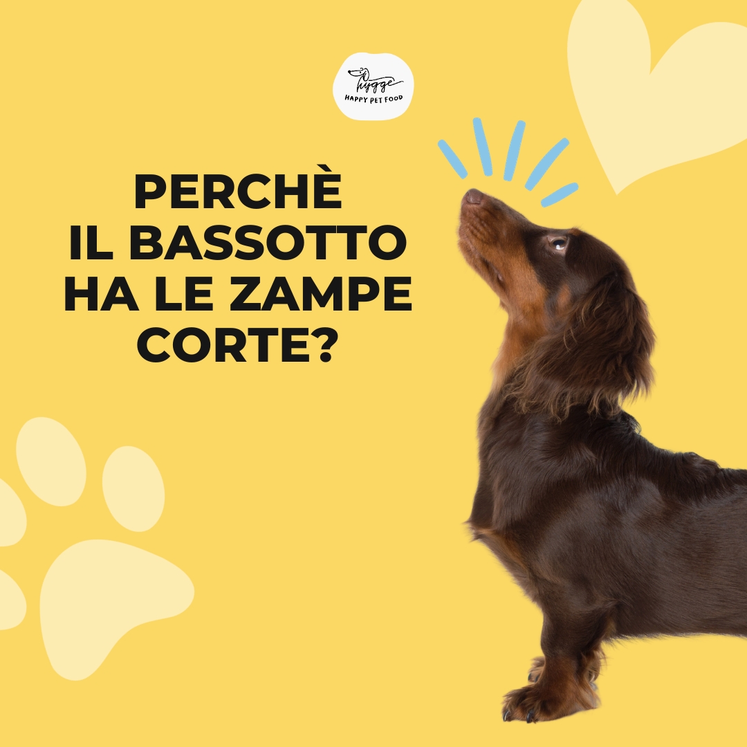 Hygge Dog - La ricetta della felicita'