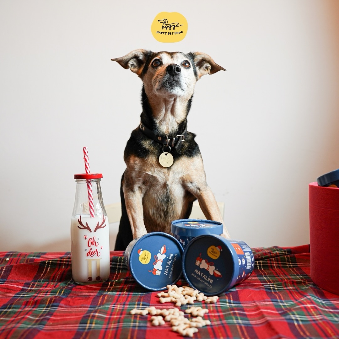 Hygge Dog - La ricetta della felicita'