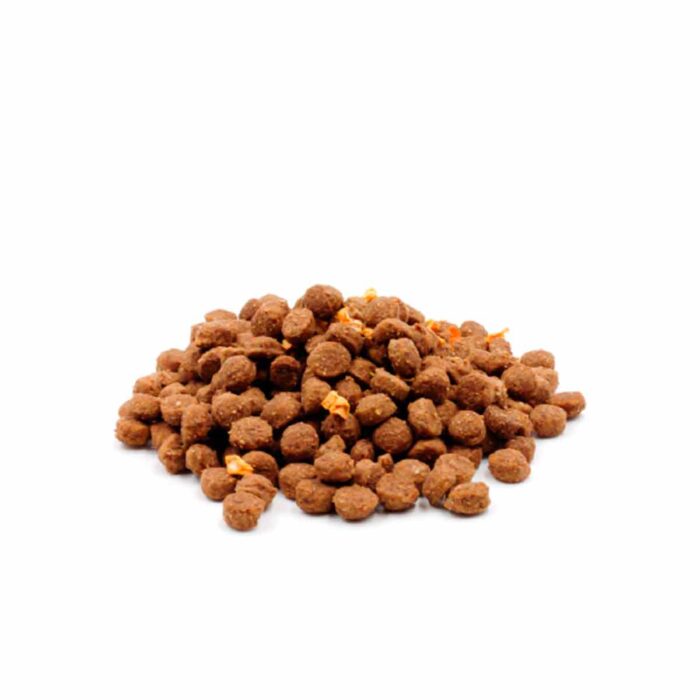 Maiale, Curcuma e Scaglie di Zucca Mini