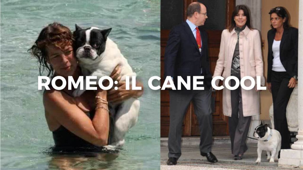 Bulldog Francese, il cane cool di Carolina di Monaco