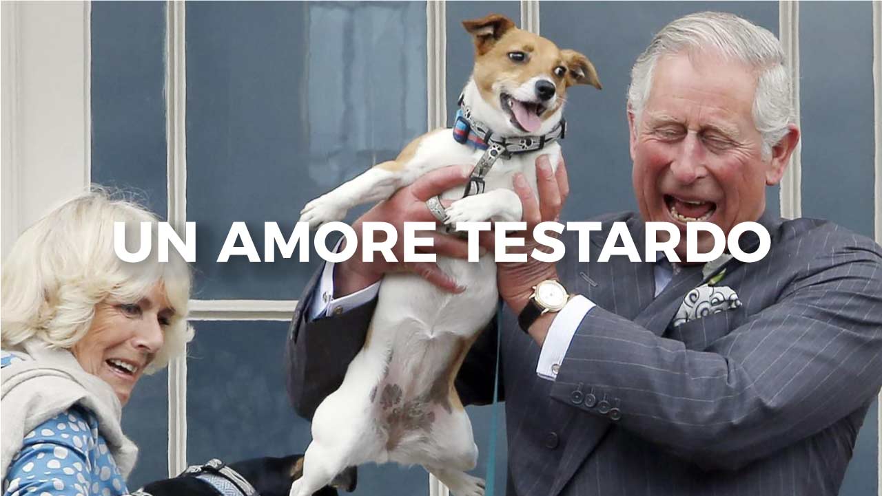 Un amore testardo: Camilla Shand e i suoi Jack Russell Terrier
