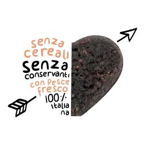 Pepite al Salmone Pepite al Salmone