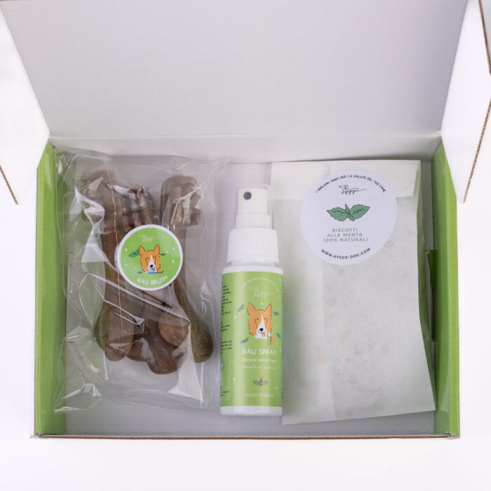 Dental Kit