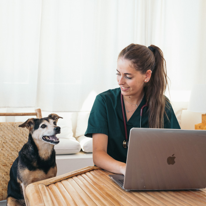 Vet Chat - Chat Veterinaria Vet Chat - Chat Veterinaria