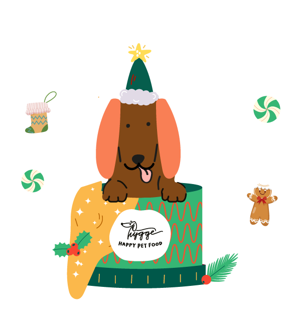 Natale con Hygge Dog