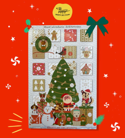 Calendario dell'avvento