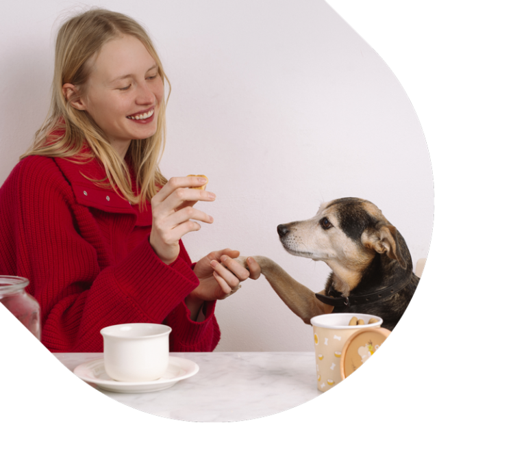 Hygge Dog