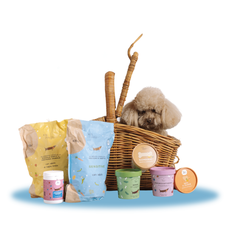 Hygge Dog