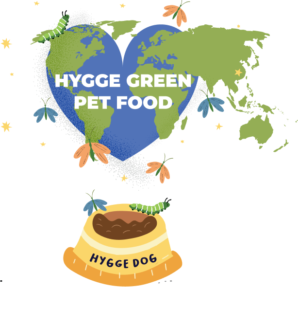 Hygge Dog