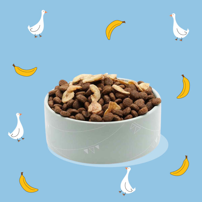Anatra e Banana Chips Midi