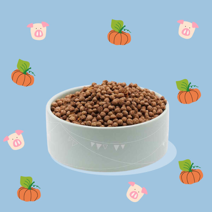 Maiale, Curcuma e Scaglie di Zucca Mini