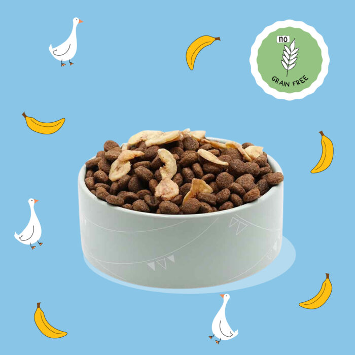 Anatra e Banana Chips