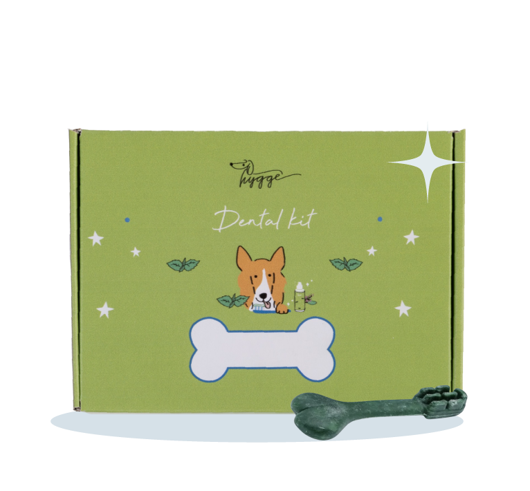 Hygge Dog