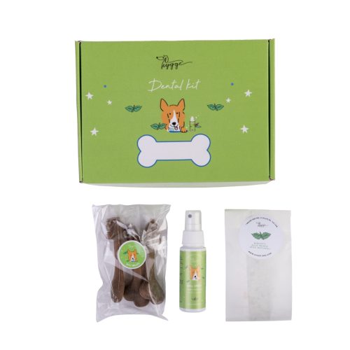 1200x1200-dental-kit