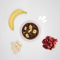 Crocchette Grain Free Anatra e Banana Chips