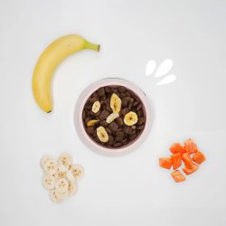 Crocchette Salmone e banana chips