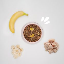 Crocchette Cuccioli Pollo, Banana Chips e Barbabietola Puppy