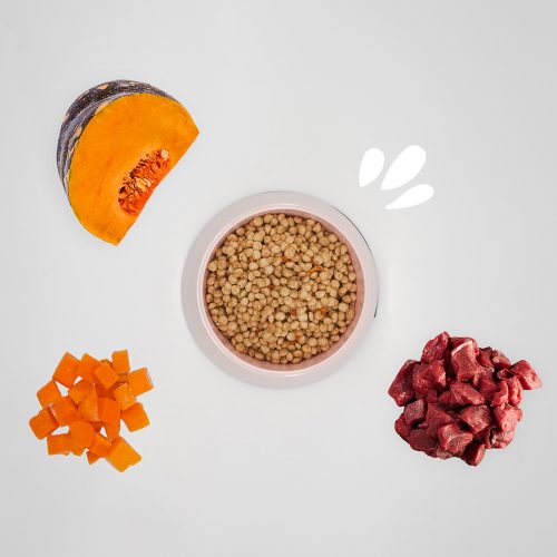 Crocchette taglia piccola Maiale, Curcuma e scaglie di Zucca
